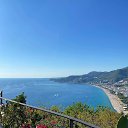 ���� ��������, ������������, 29 ��� - ��������� 20 ����� 2025 � ������ ���� ����������