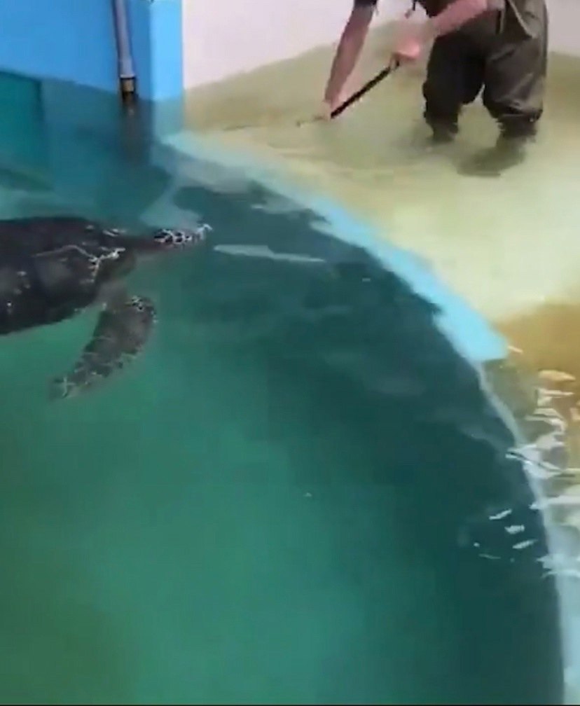 ape epea ec epe ooa, oo epea oe ce   pocoe. ...