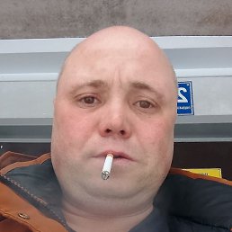 ����������, ���������, 41 ���