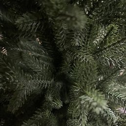 ����, ���������, 54 ����