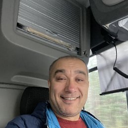 �����, 41 ���, ������