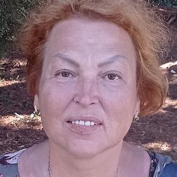 �����, ������, 62 ����