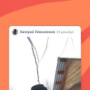 ���� �������, ������, 59 ��� - ��������� 27 ������� 2023 � ������ ���� ����������