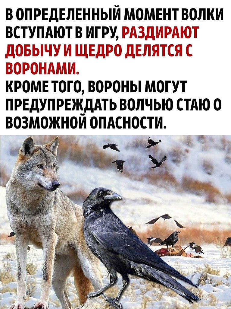       - 3