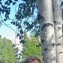 ���� ��������, ������������, 55 ��� - ��������� 4 ������� 2026 � ������ ���� ����������