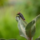 ���� ����� 🎗, ������ - ��������� 22 ������� 2026 � ������ ���� �����������