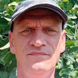 ������, ������, 46 ���