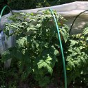 ���� ���, ������, 37 ��� - ��������� 8 ���� 2024 � ������ ������ ��������