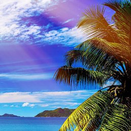 ���� ������, ������, 49 ��� - ��������� 6 ������ 2026