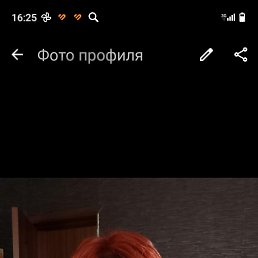 ���� �������, ���������, 40 ��� - ��������� 3 ������ 2026