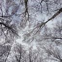 ���� �������, ������ �������� - ��������� 26 ������ 2025 � ������ ������ ��������