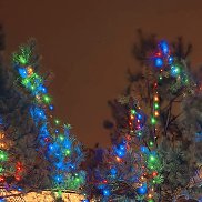 �����, 35 ���, ������