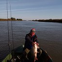���� �����, ������, 68 ��� - ��������� 26 �������� 2025 � ������ ���� ����������