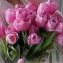 ���� �������, �����������, 48 ��� - ��������� 8 ����� 2025 � ������ ������ ��������