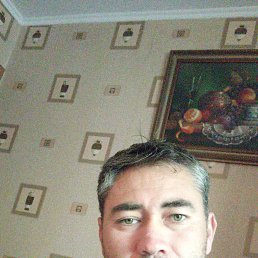 , 37, 