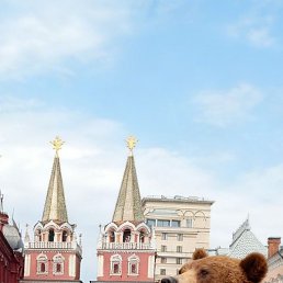 �����, ������, 38 ���