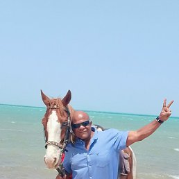 Hany, �������, 49 ���