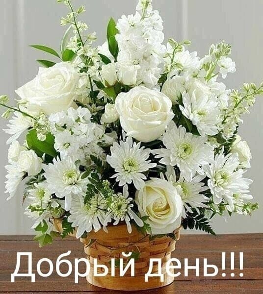   - 13  2025  14:09