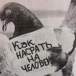 ��, ������, 40 ���