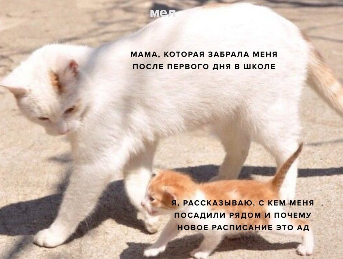   - 6  2025  13:39