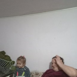 �������, ���������, 48 ���