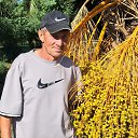 ���� �������, �����, 52 ���� - ��������� 17 ������� 2025 � ������ ���� ����������