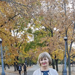 ����, ���������, 68 ���