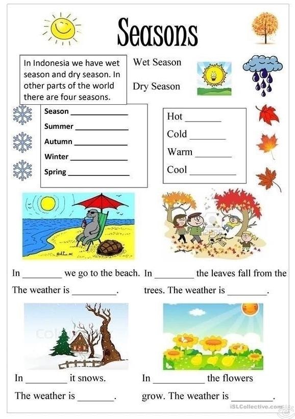 Seasons worksheets - 5