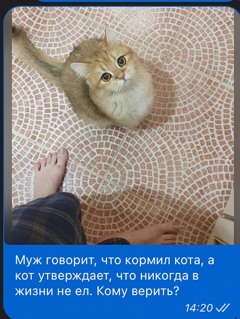 ���� �����?