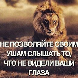 ����, ��������-��-������, 50 ���