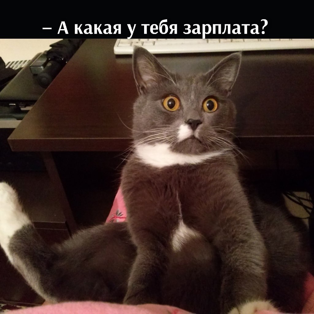       - 3  2025  17:00 - 2