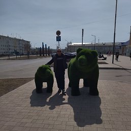 ��������, �����������, 44 ����