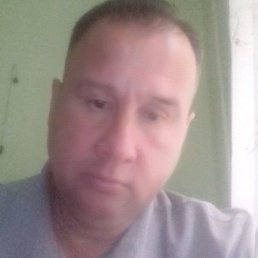 �����, ������, 48 ���