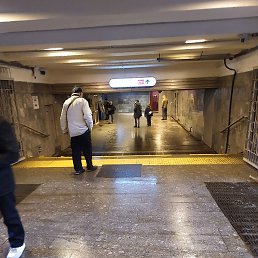 �������� ������ ������, ������, 42 ����