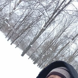 ���� �����, �����, 34 ���� - ��������� 21 ����� 2026