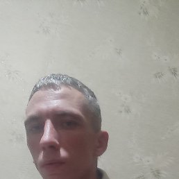 , 37, 