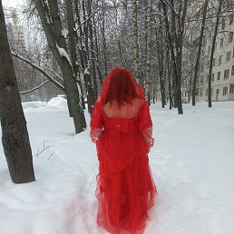 ���� ���������, ������, 49 ��� - ��������� 28 �������� 2026