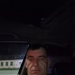 ����, 40 ���, ������