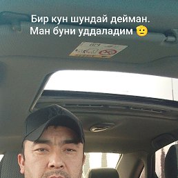 ������ ����������, 37 ���, ������