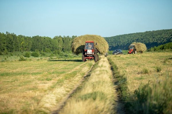 В агропромышленных районах Красноярского края расширили сети LTE. Теперь аграрии Сухобузимского, ...