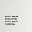 ���� �����, ���������, 53 ���� - ��������� 19 �������� 2025 � ������ ������ ��������
