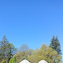 ���� �����, ����-���, 24 ���� - ��������� 26 ������� 2025 � ������ ���� ����������