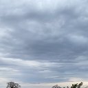 ���� �������, ��������� - ��������� 25 ������� 2024
