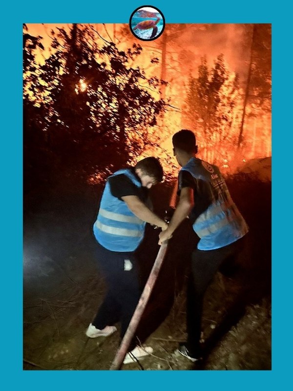 Российских туристов эвакуировали из турецких отелей из-за лесных пожаров.Мощный пожар охватил районы ... - 2