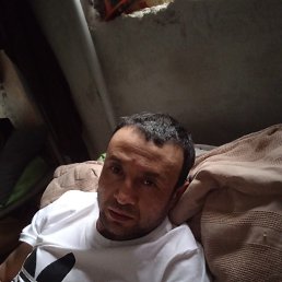 , 54 , 