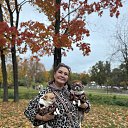 ���� �����, �����-���������, 59 ��� - ��������� 11 ������� 2025 � ������ ���� ����������