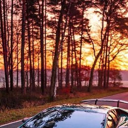 �������, ������, 31 ���