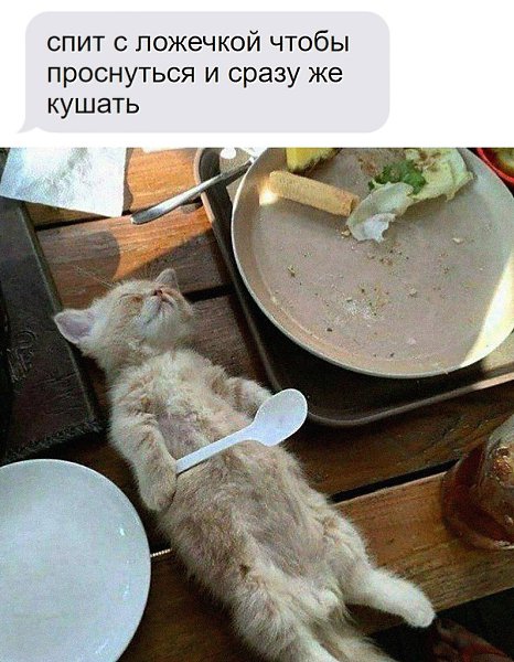    - 22  2025  20:29