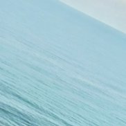 �����, 34 ����, ����