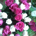 ���� �����, ������, 40 ��� - ��������� 19 ������ 2026 � ������ ���� ����������